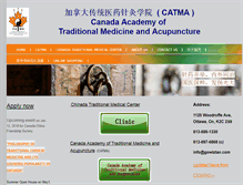 Tablet Screenshot of gowiztao.com